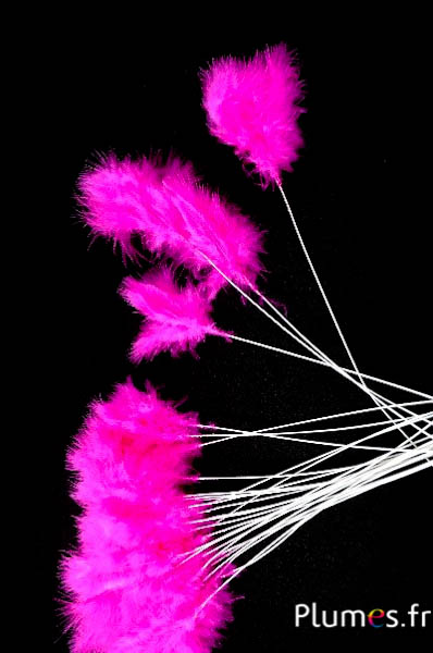Panicule 3 plumes - hauteur 36 cm - fuchsia